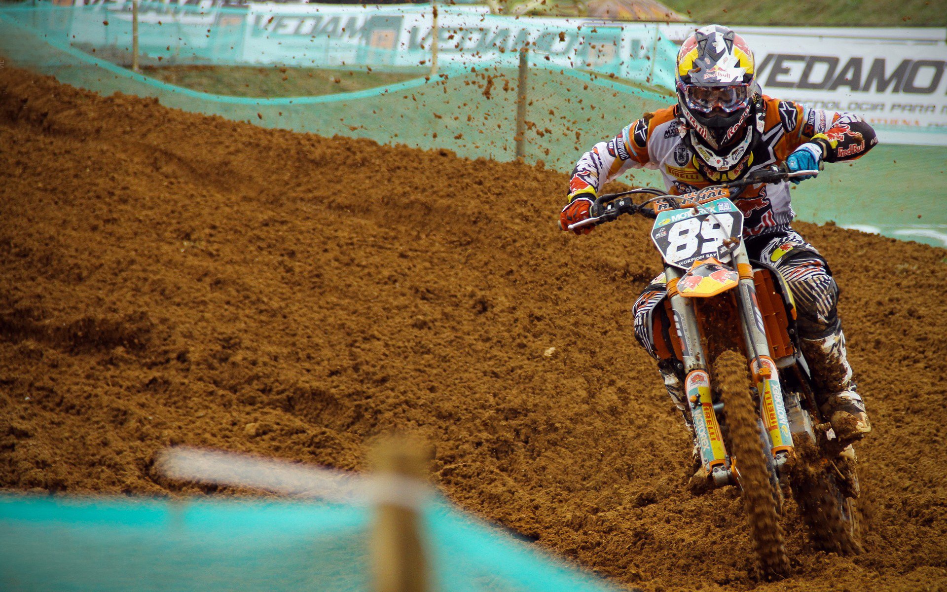 开云平台-伊布存在感拉满，威尔士横扫加拿大，一场跨越足球与文化的对话