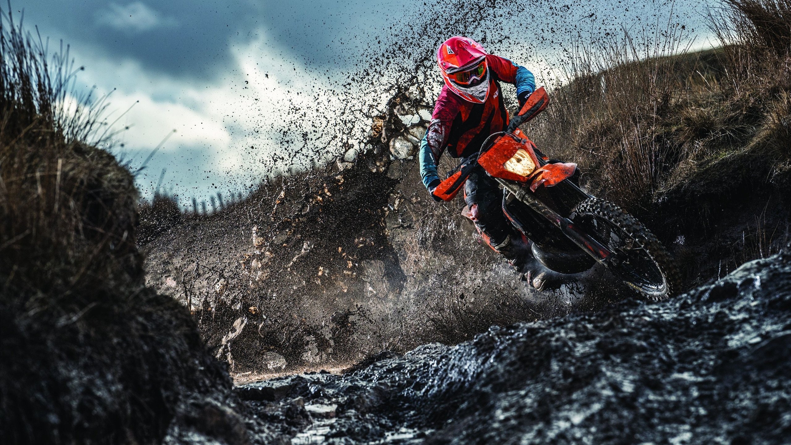 开云下载-伊布神兵天降，韩国掀翻沙特改写亚洲足球格局